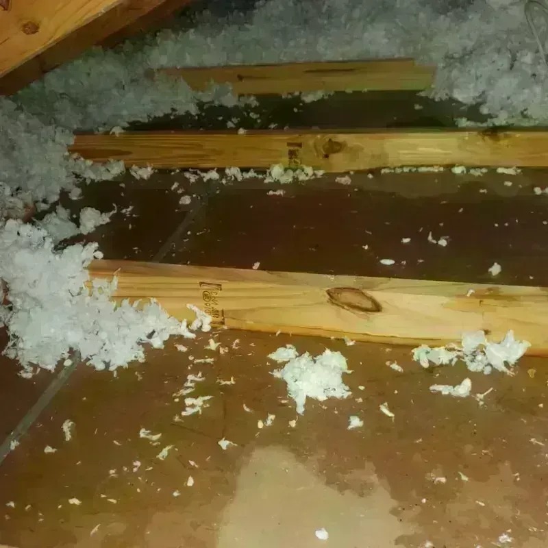 Attic Water Damage in Ola, AR