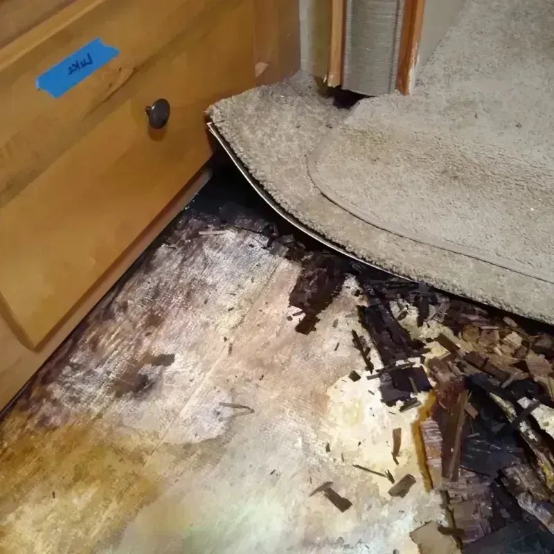 Best Wood Floor Water Damage Service in Ola, AR